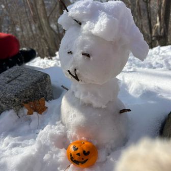 トランプ大統領のような髪型が残念ながら崩れた
日米関係はどーなる？