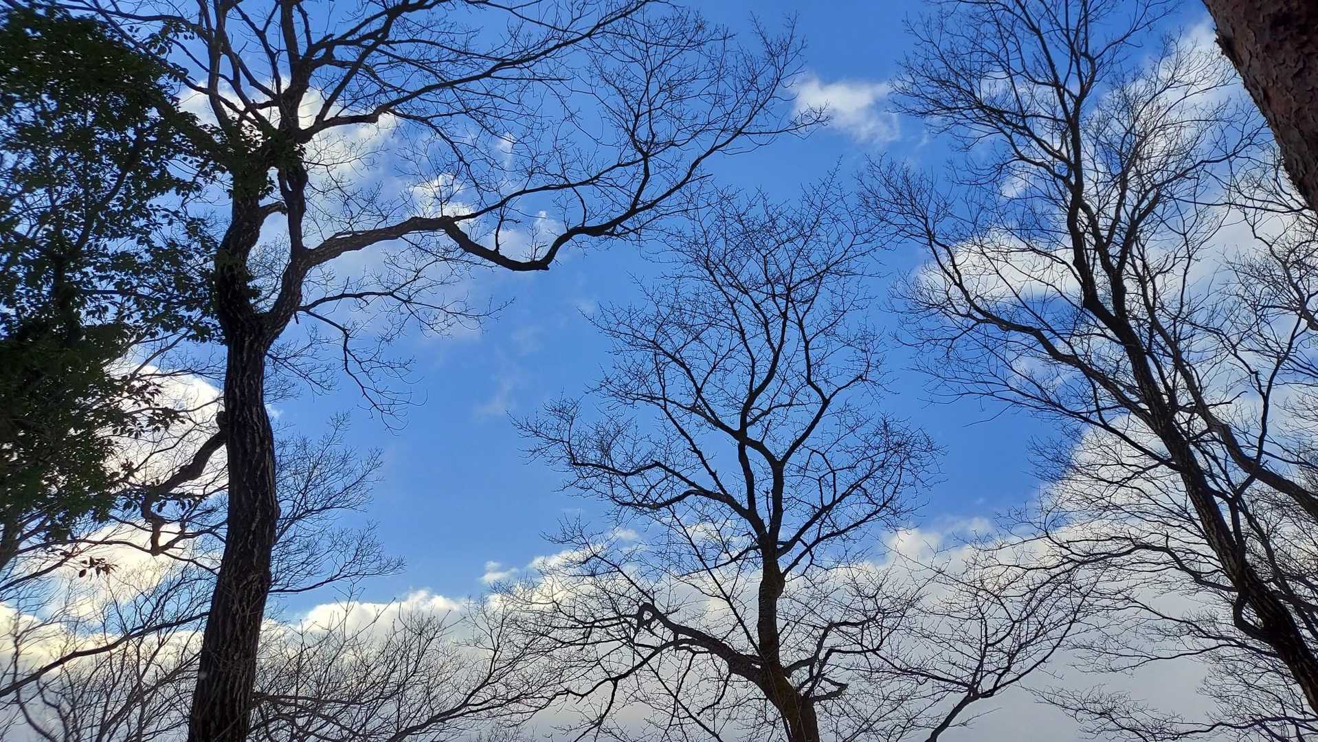 帰りは雲の切れ間から青空。
