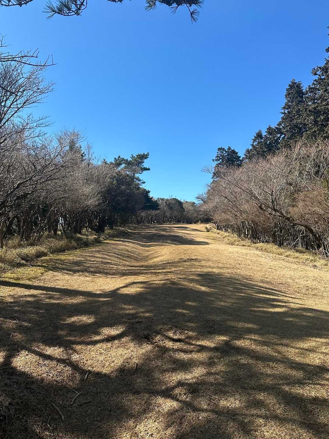 ここはゴルフ場のフェアウェイか⁉️⛳️