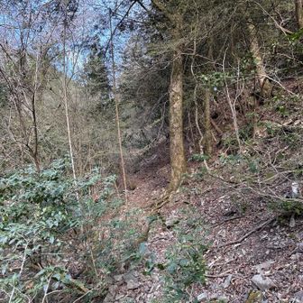 いきなりから急登ですわ