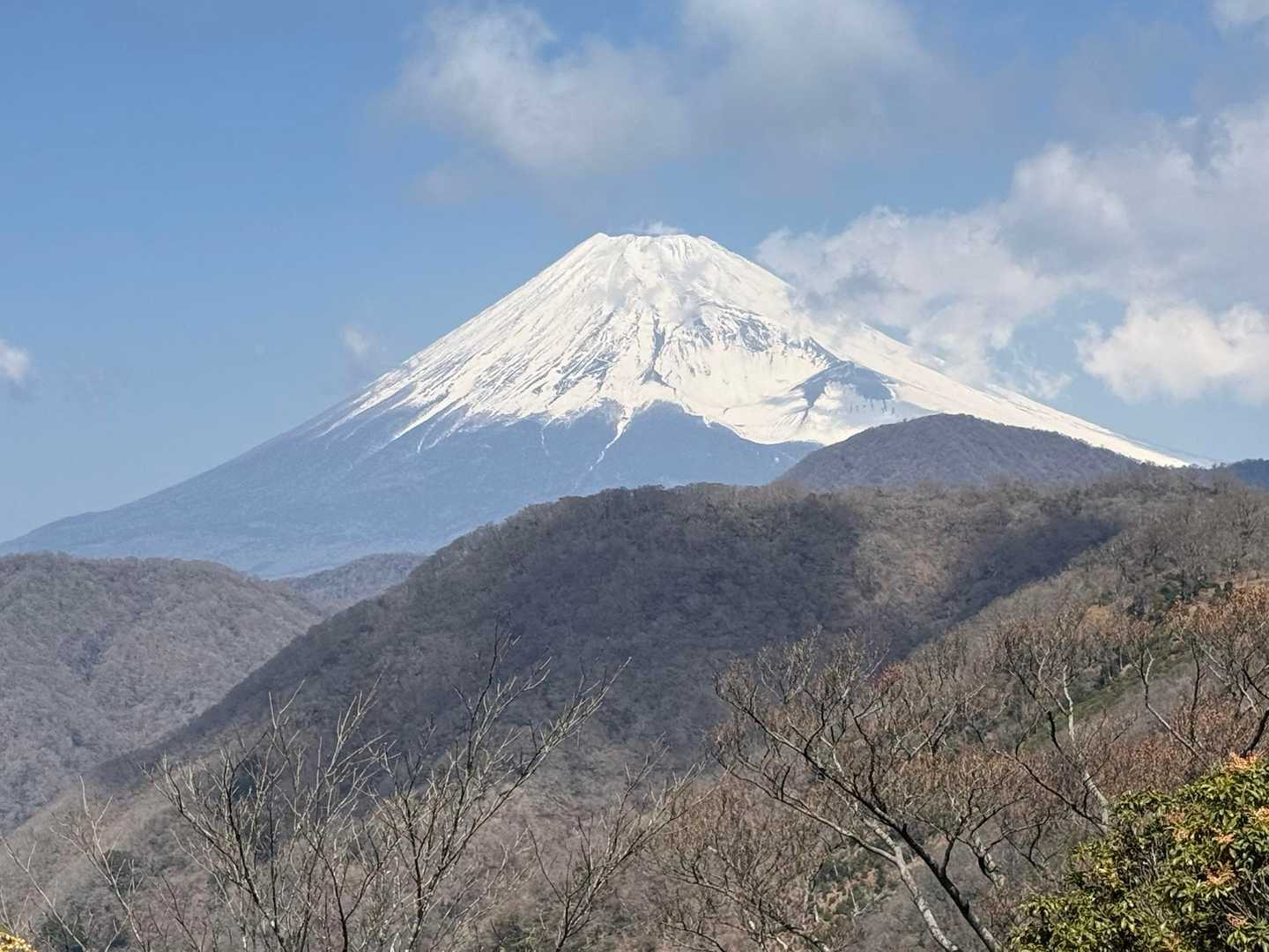 愛鷹山 周回コースの写真