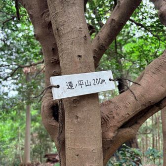 私は見逃してた山頂標識⤴︎🧙‍♂️撮影