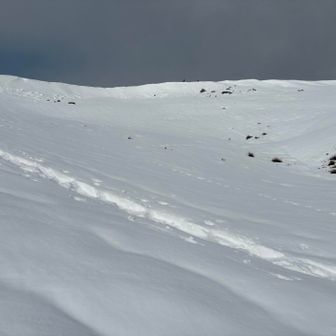 白い〜
私は尾張の平野で育ったので、雪でテンション上がる人です。