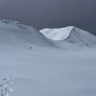 せっかくなんであっちまで歩きます