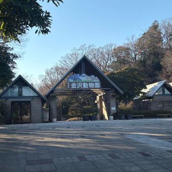 動物園のゲート前