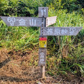 小爪峠。これから猟師岩山へ。