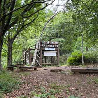 そして45分くらいで山頂到着。みなさんの記録でよく見る山頂の展望台がありました。