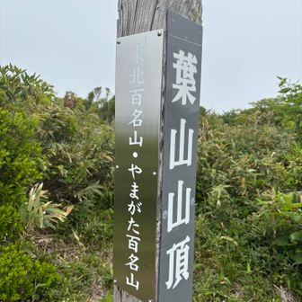 参りました〜
葉山〜

あーお腹すいた😩