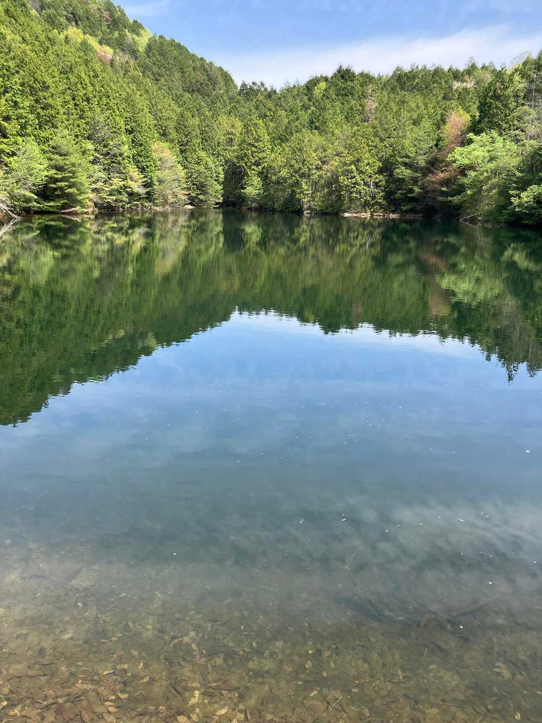 池の水も 底が見えるくらい澄んでいます😊