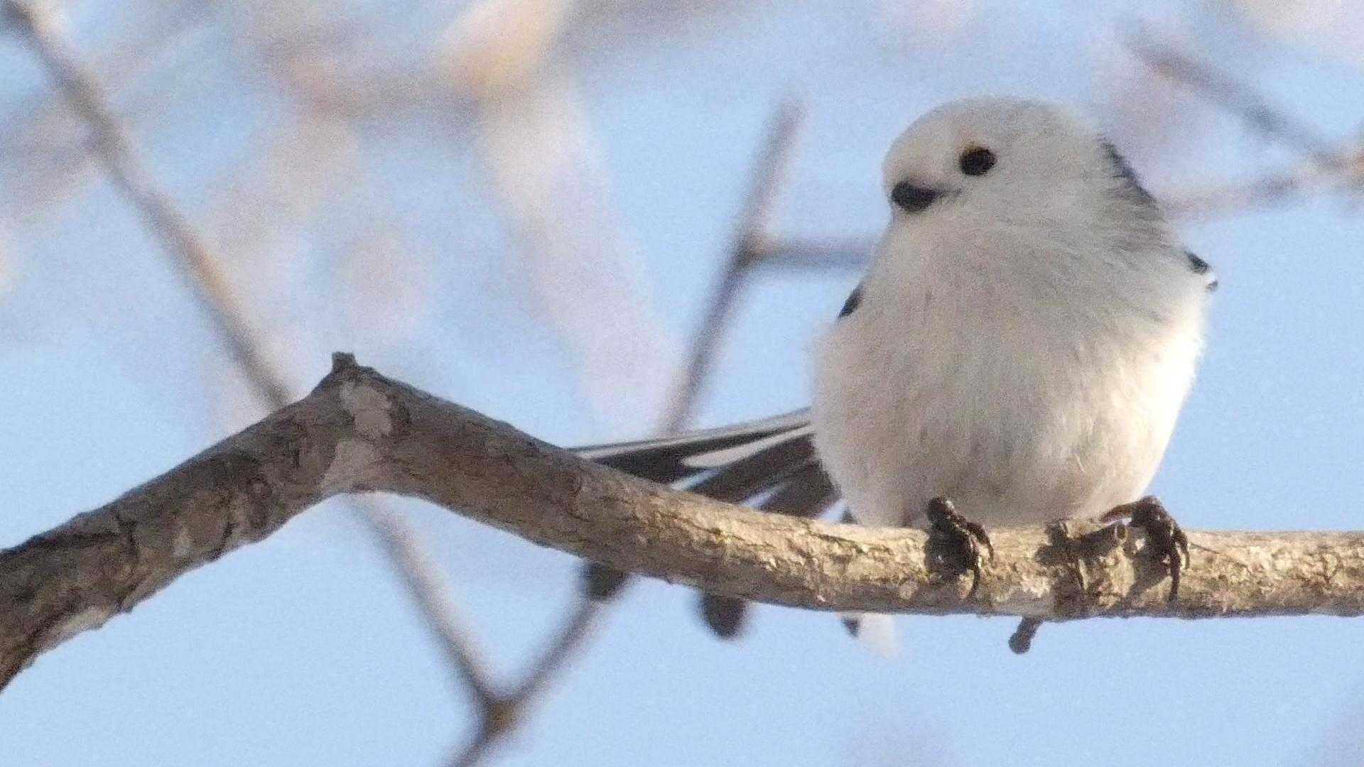 キメポーズ!(^^)!
今日も1日楽しかった～😀