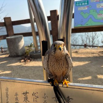 幸せの鐘🔔広場