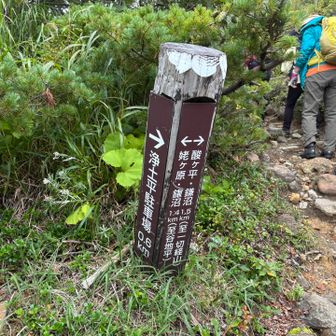 私達は皆さんと逆周り⬅️へ
（ガスガスなんで、帰りの景色を期待して登りは鎌沼方面へ）