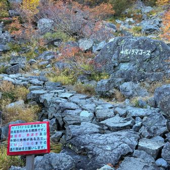 無事に戻りました
結構急登だったけど楽しかった！