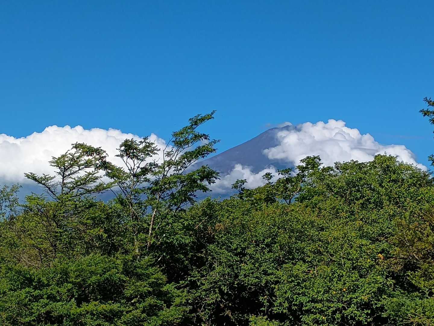 往路では見えなかった富士山もお出まし🤩