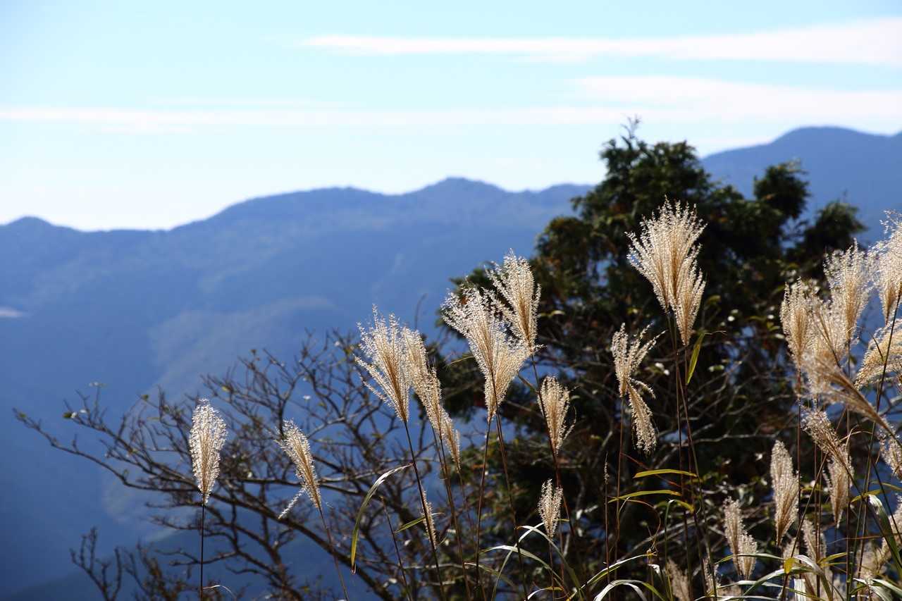 橡尾峠-カガマシ山-橡尾山 周回コースの写真