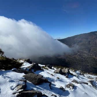 大っきい雲が来た〜☁️
でも、なかなか覆われない☺️