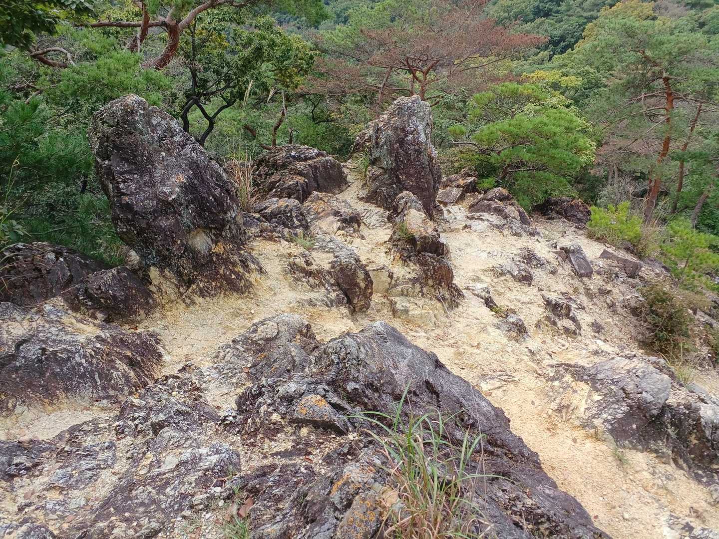 意外と岩場！