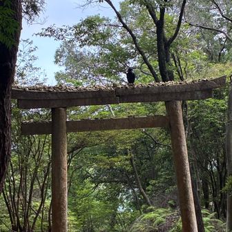 カラス🐦‍⬛がお出迎え😬