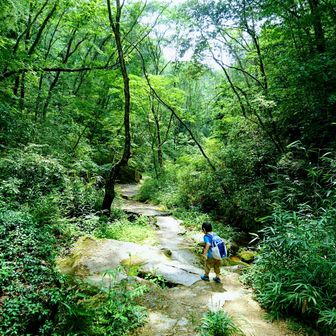 へっぽこ登山隊