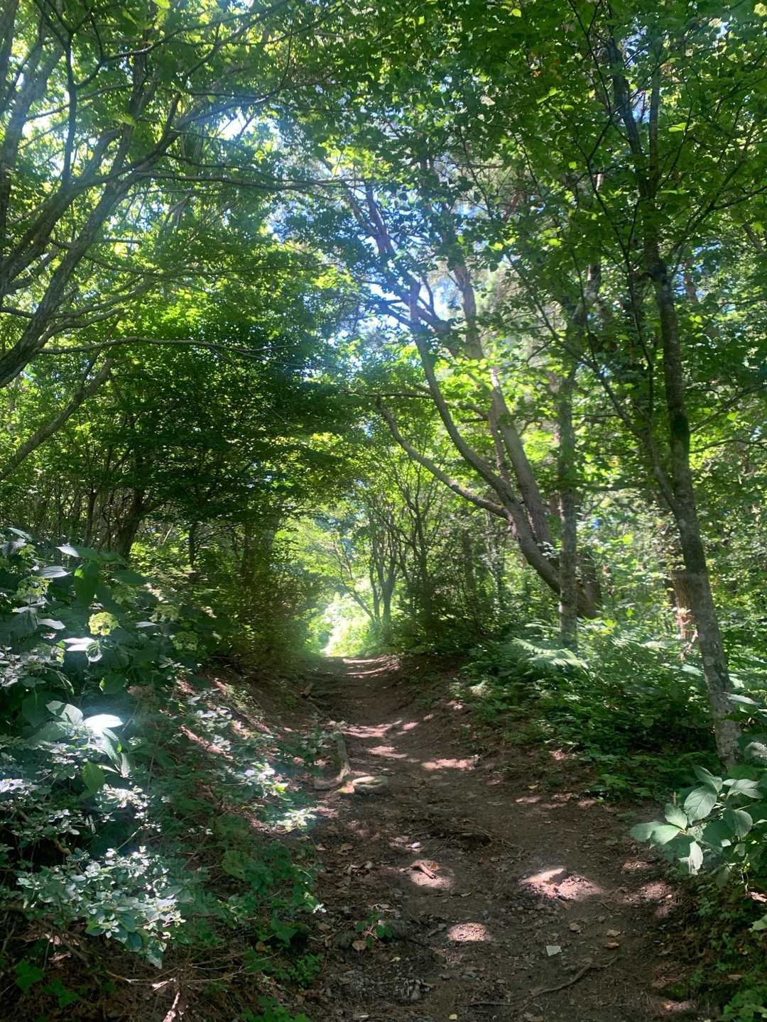 久々🌿✨