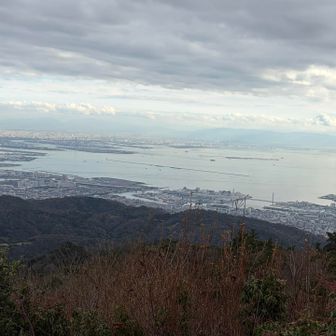 縦走路から大阪湾を望む