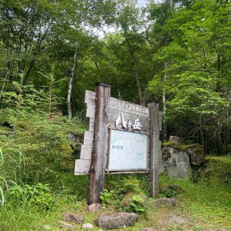 駐車場は「やまのこ村」さん(予約した)
1DAY ¥1500-
凸凹林道も楽しめました。

車幅の狭い軽自動車の方が、石を🪨避けれるので、
かなり有利で安全に走行できました。🚙





