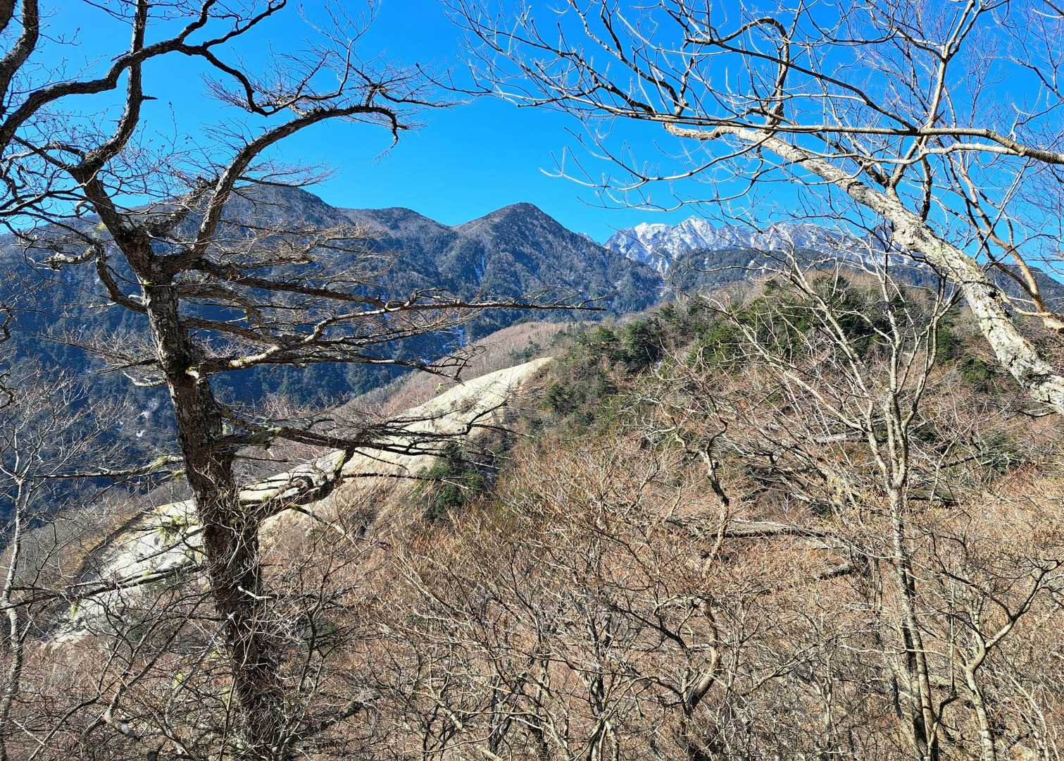 水晶ナギが見えてきました👀