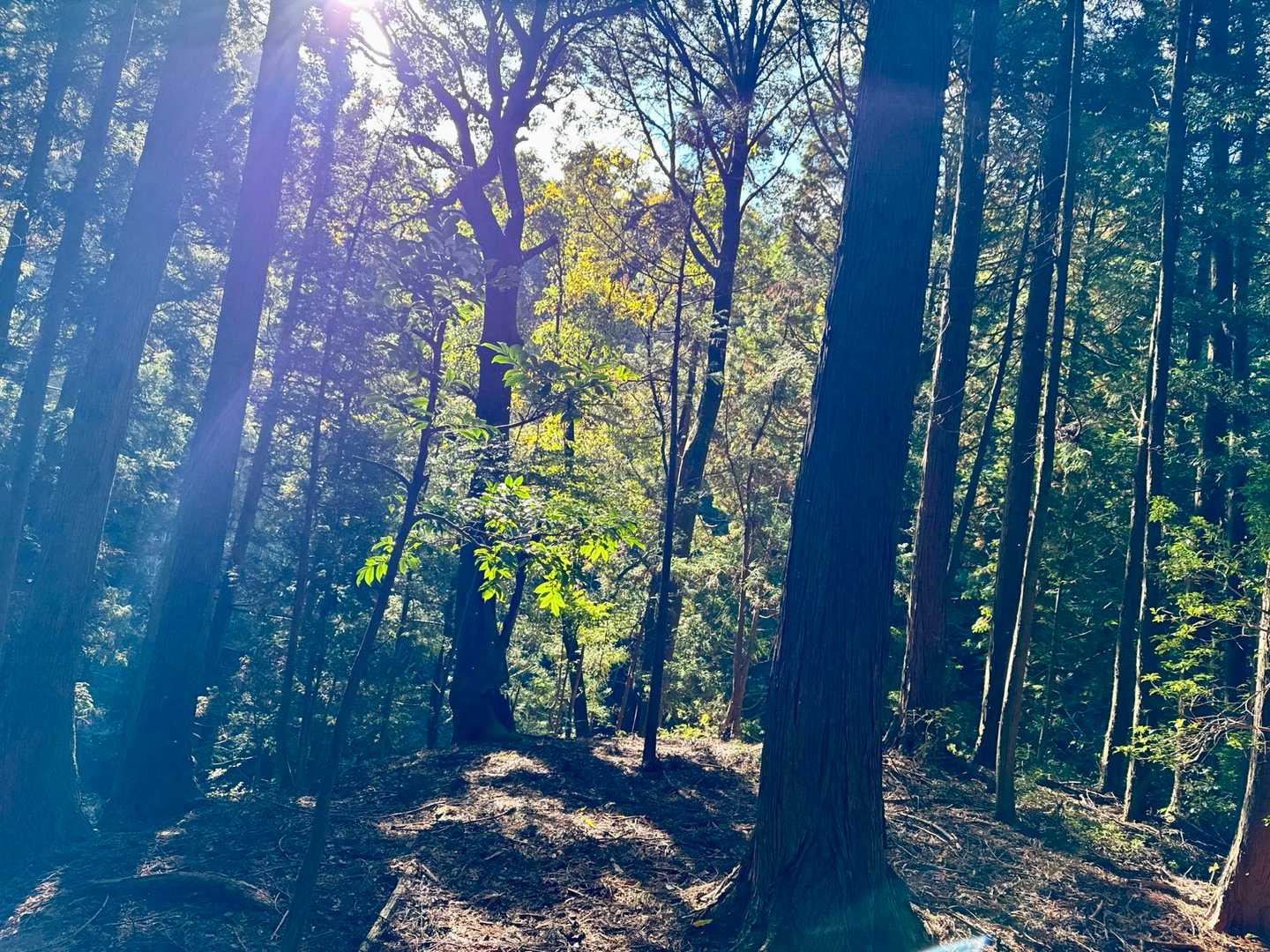 📸✨
