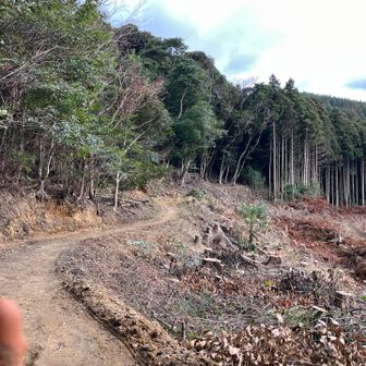 右側、何もない‥

見慣れない景色の中、登山道を突き当たりまでまっすぐ進む