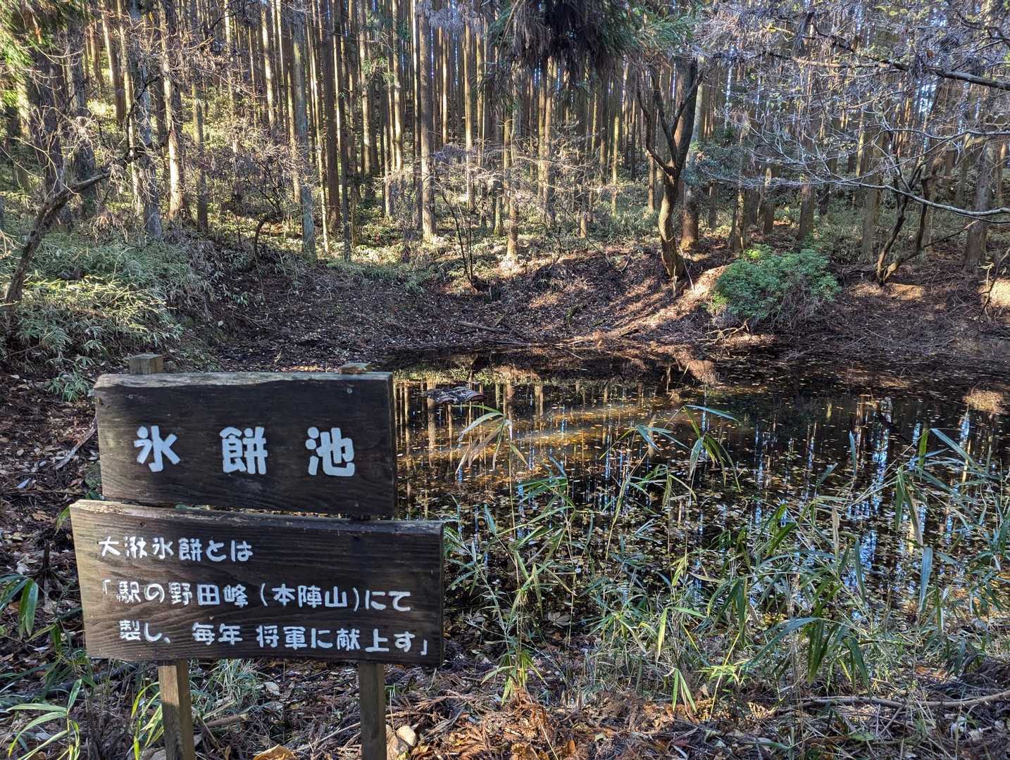 大湫コミュニティセンターバス停-本陣山 周回コースの写真