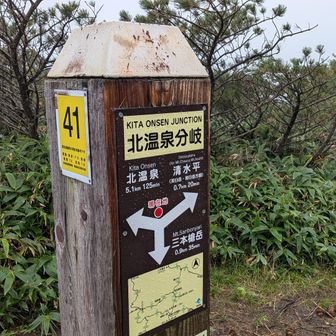霧雨の粒も大きくなったのでレイン着よう