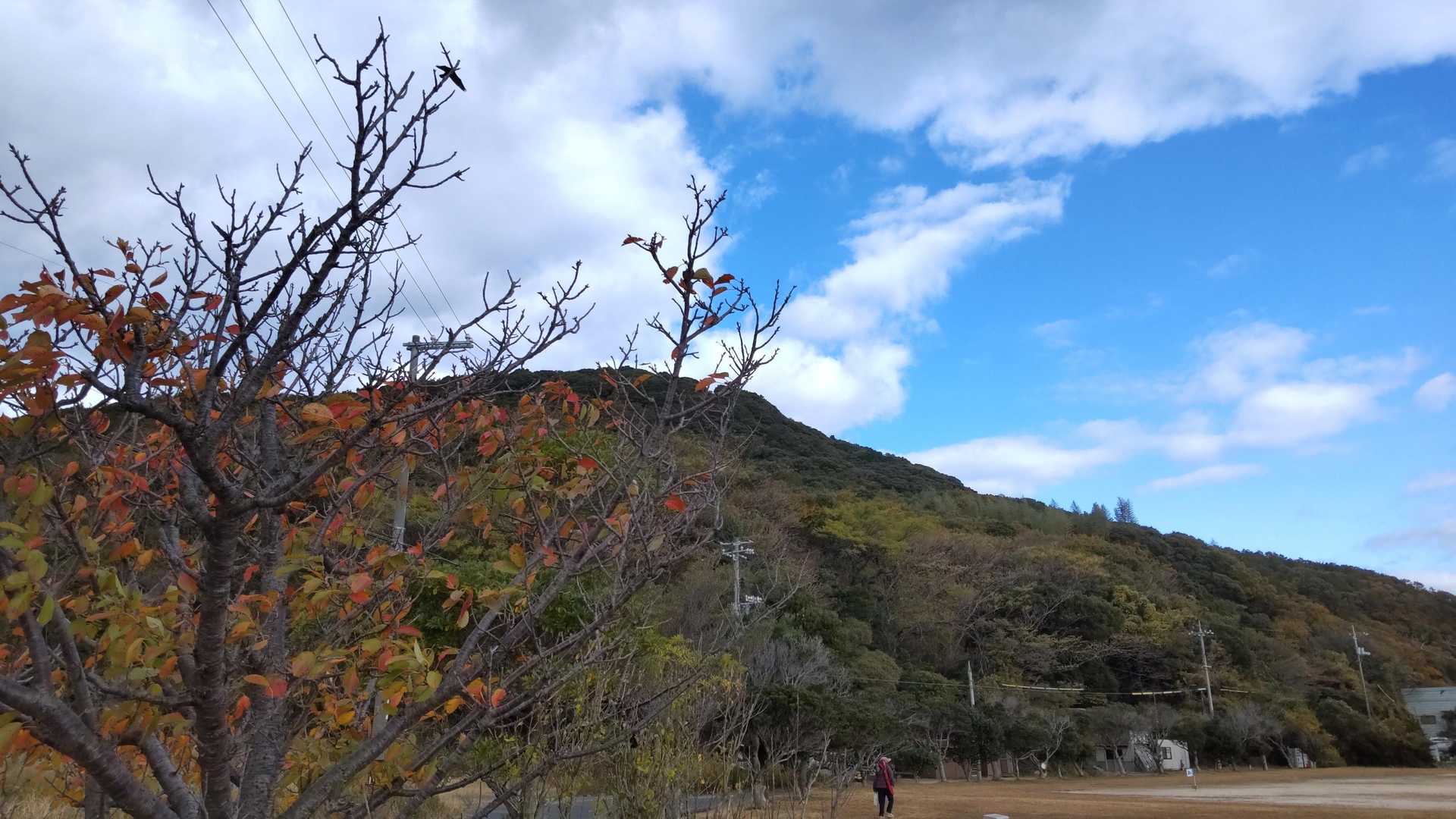 ありがとうございました🙇