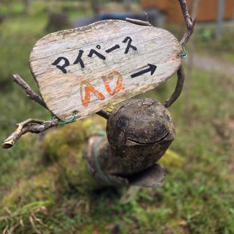 カッシー君🐢
こんにちは✨️
今日も優しい表情でのお出迎えあリがとう🤗