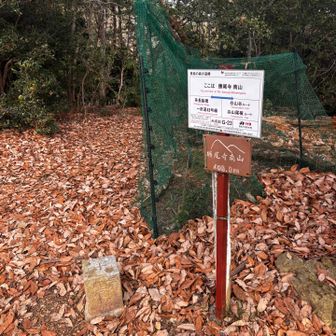 勝尾寺南山⛰️