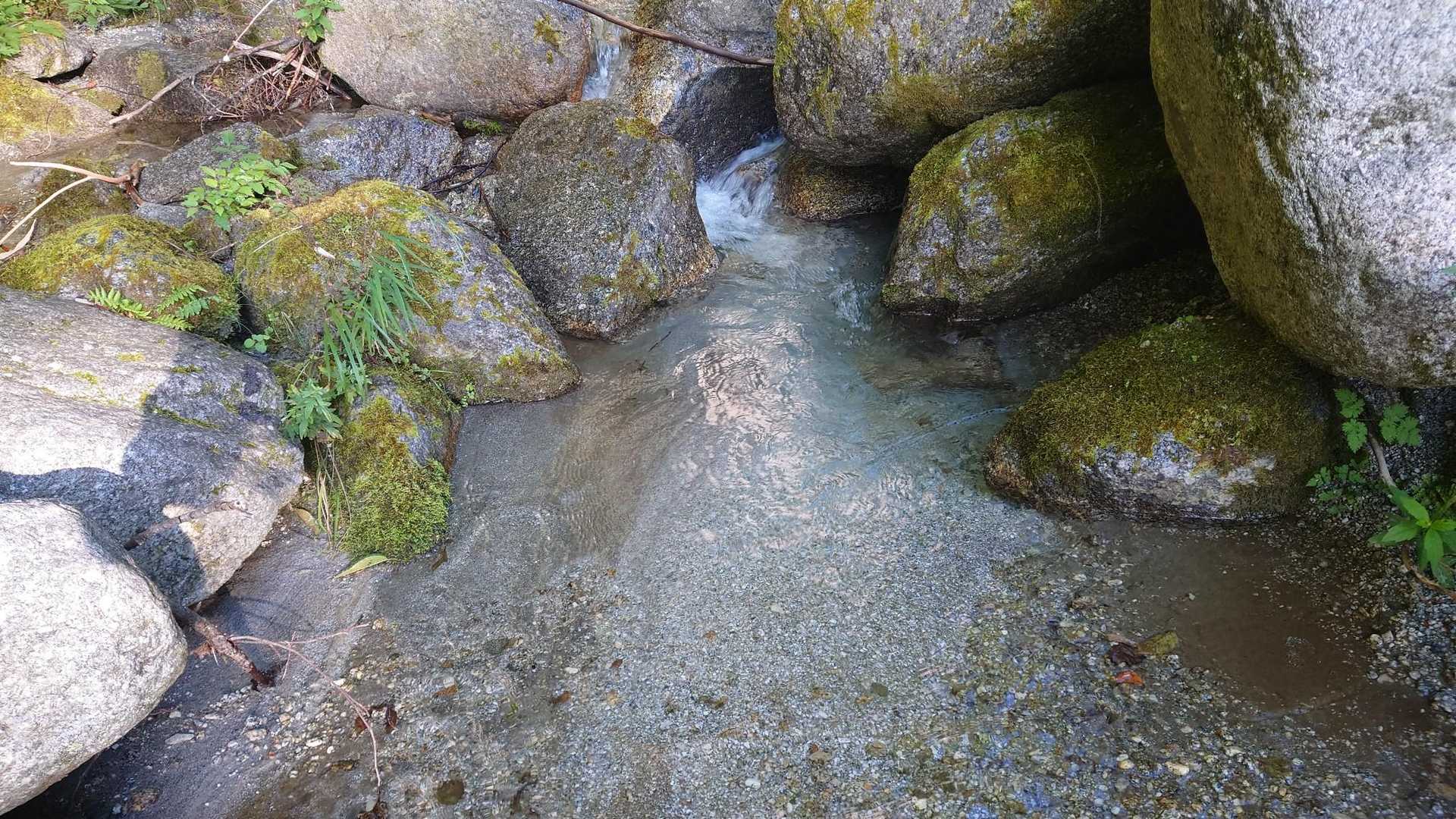 もーね。ほんとお水きれいです。
顔洗いたくなるのわかるでしょ？笑笑笑
流石に直飲みは怖いので出来ませんが😆