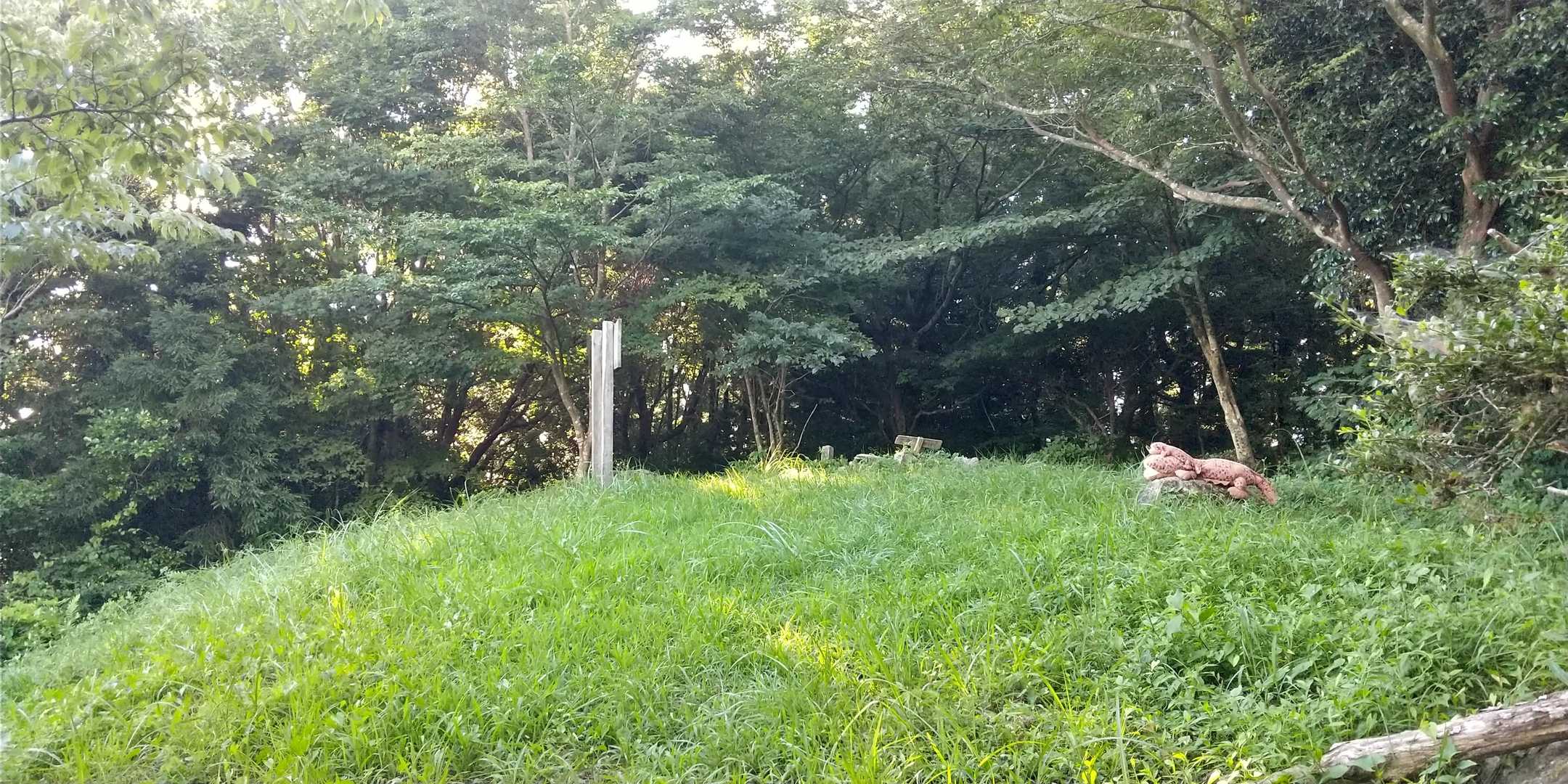山頂は芝感🌿