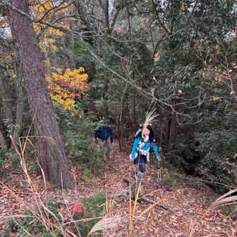 今日はトナカイのカチューシャ　クリスマスバージョン🎄