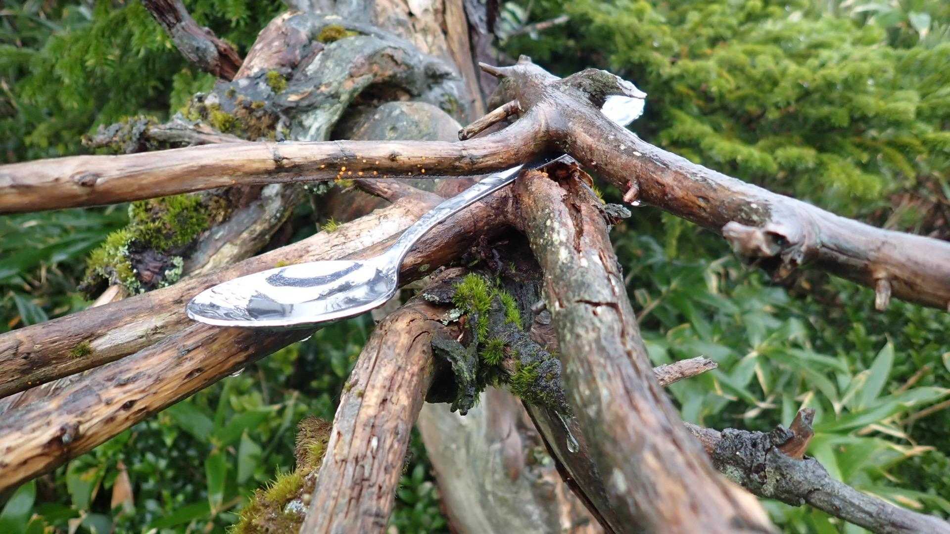 諸檜岳山頂にスプーン忘れてますよ〜😆
