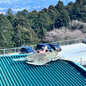 シュールすぎる