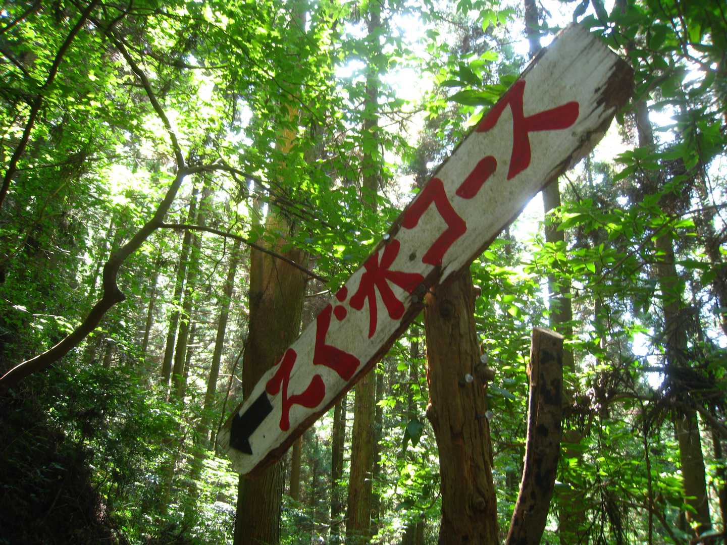 復路は… えぐ水コースへ 👀