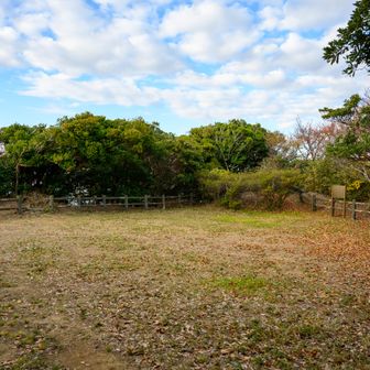 看板横の階段を登ると山頂