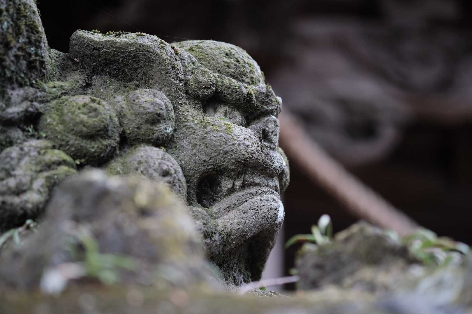 立派な神社だけど、ちょっと傷んでるな〜