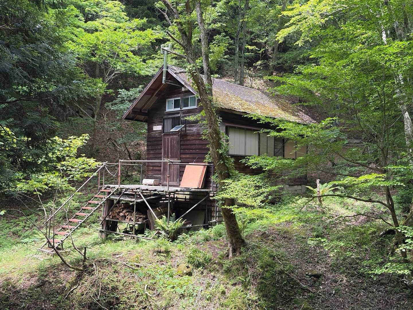 花脊高原前バス停-雲取峠-雲取山 往復コースの写真