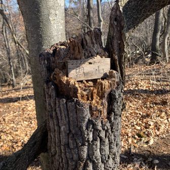 雷山登頂🙌山頂は広い感じでした。