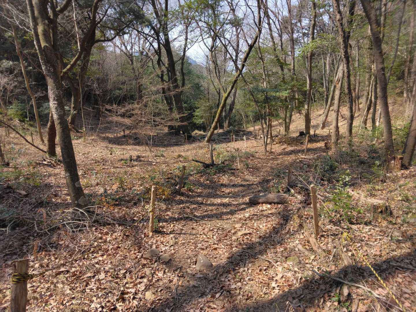 ササユリの広場かな？！