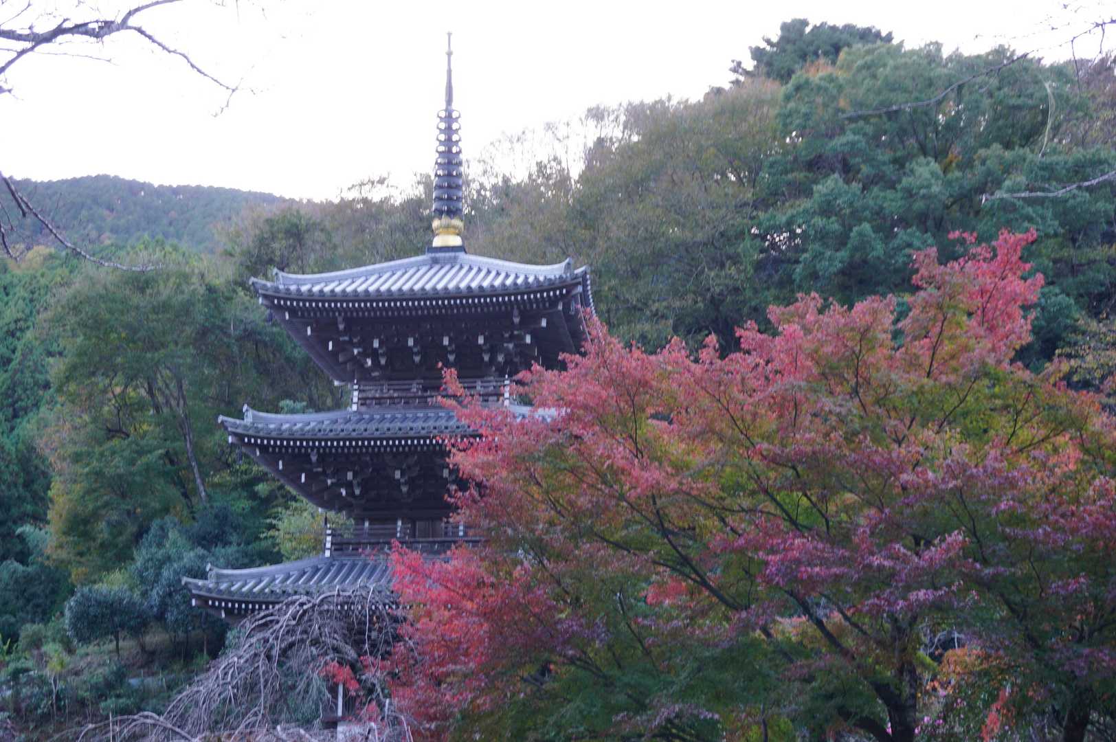 浄発願寺の五重塔。
15時20分発のバスに間に合う
