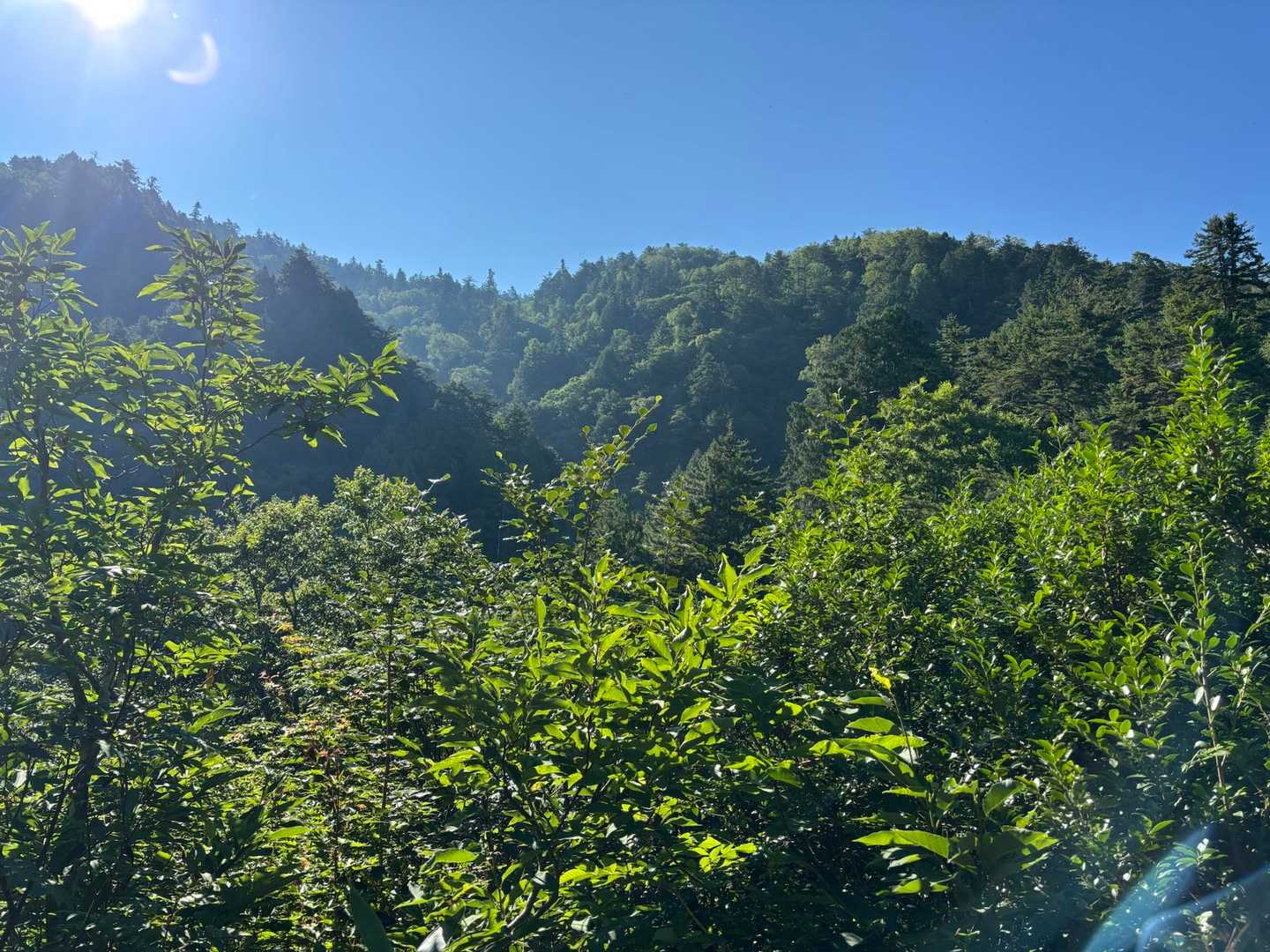 この時は青空