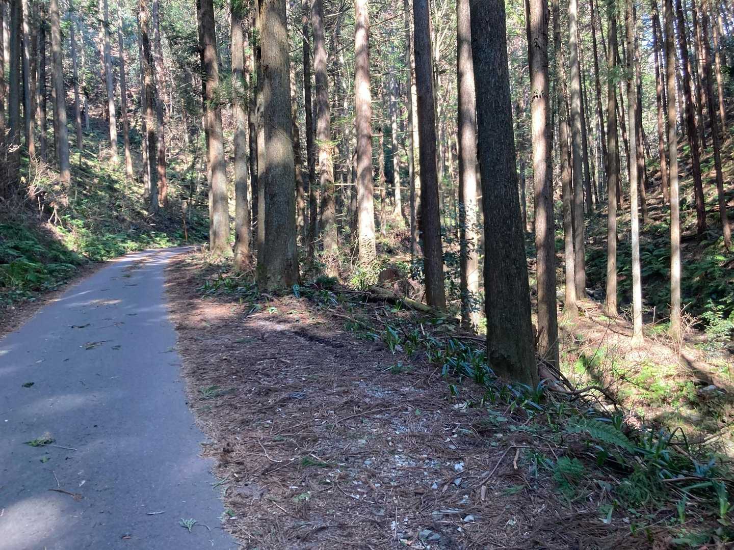 高麗駅-日和田山-物見山-武蔵横手駅 縦走コースの写真