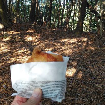 山科駅前のセブンで入手。
ブラックフライデーとやらで
揚げ鶏が半額ぅぅ！
ホットケース内はてんこ盛りで、山科駅前は揚げ油臭がプンプンでした。
あの匂いに抗うのは無理！
思わず購入。