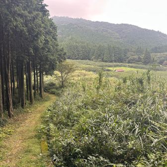無事下山！
スタートも遅くなったので、
今回は思った以上に遅めの終了に😅

亀山界隈は最後まで手強いな🐢💦
（三子山〜しおそやまのピストンならキノコ愛でてアップダウン多いな！っで終われるのかなw）